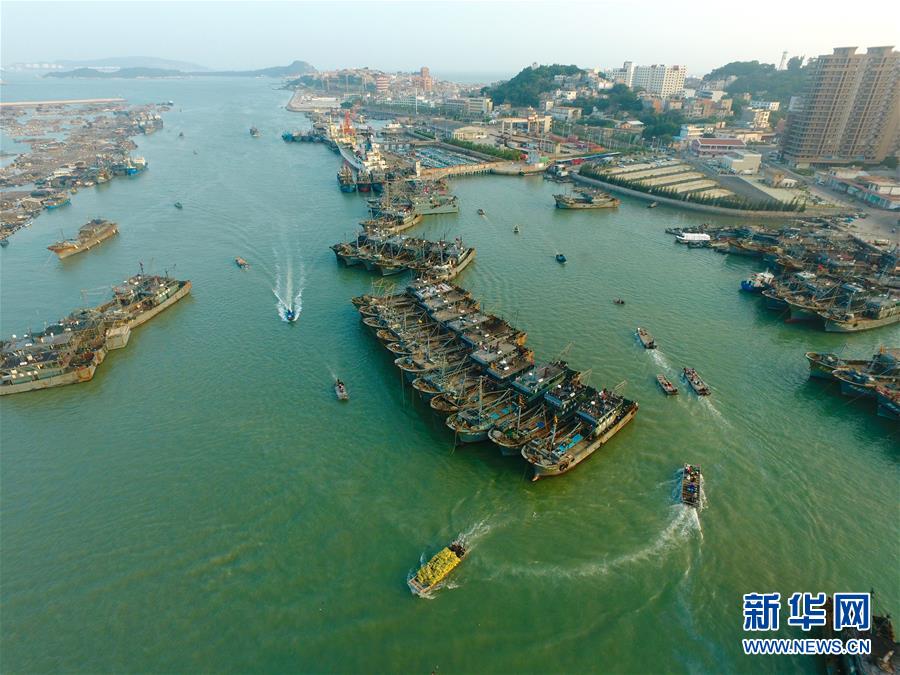 福建:繁忙的东山渔港