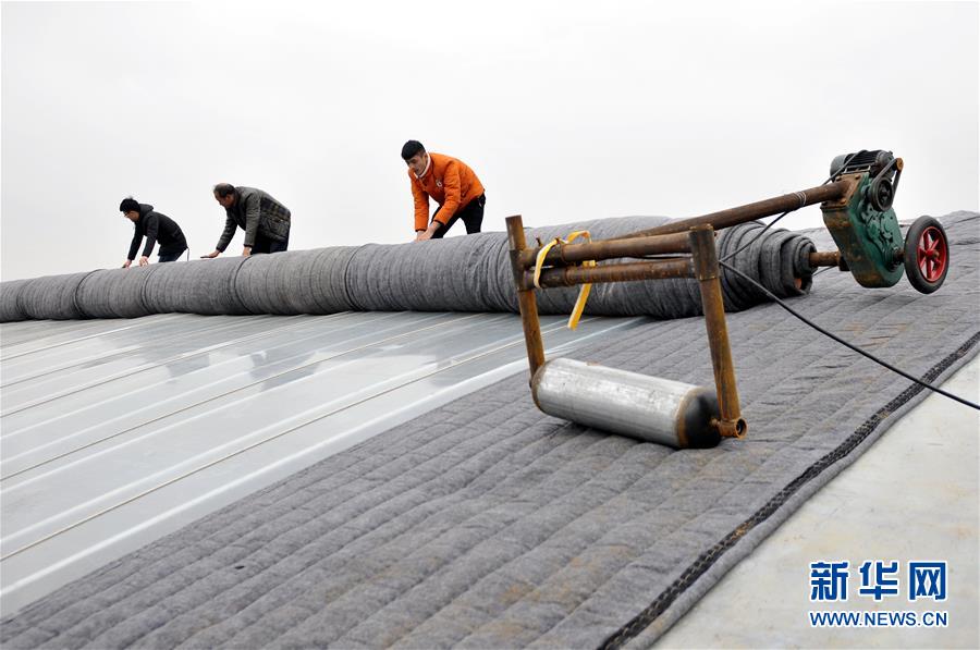 ����Ǳ�������