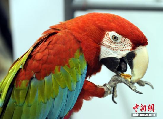 һ��������ϡ���Ļ���6��