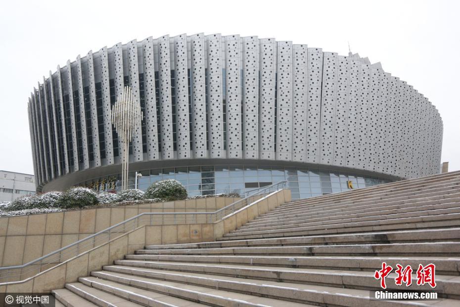 ɽ��������