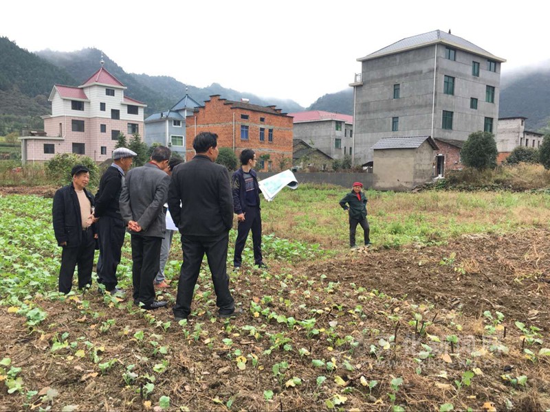 杨林镇开展土地确权颁证 牢固土地流转基础