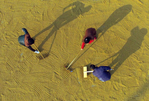 ɹ�Ƚ�����