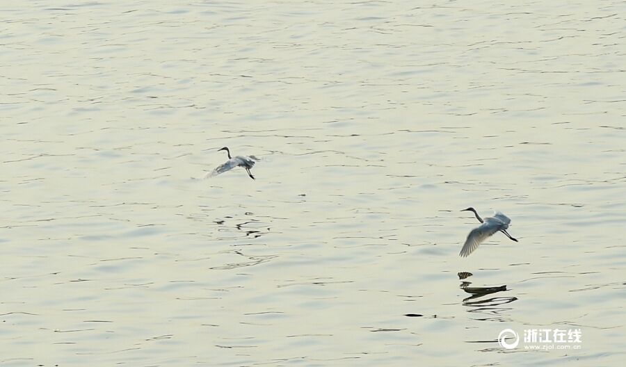 �������۰��ط�