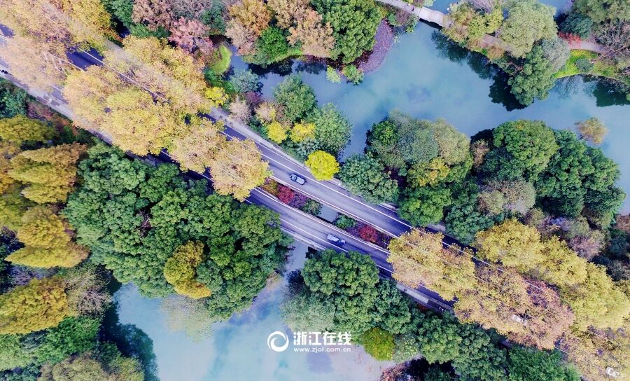 �붬���������⡱Ũ