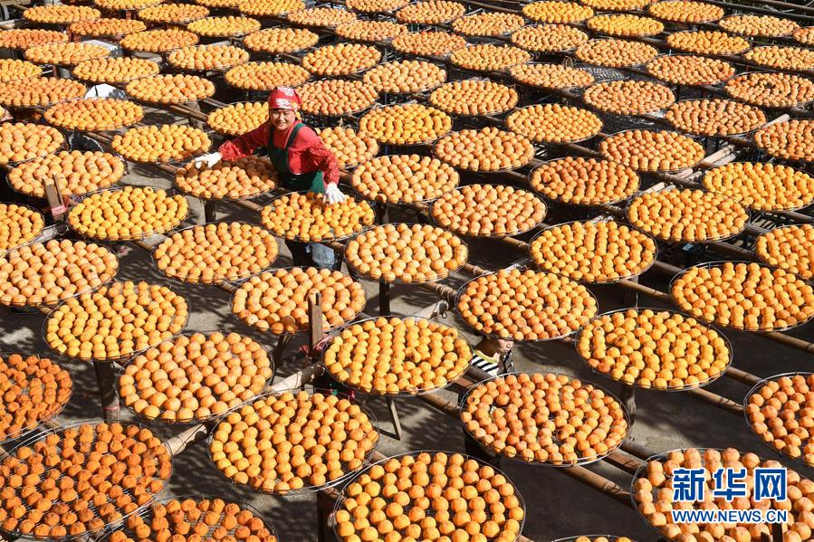 ̨�����񣺷�������