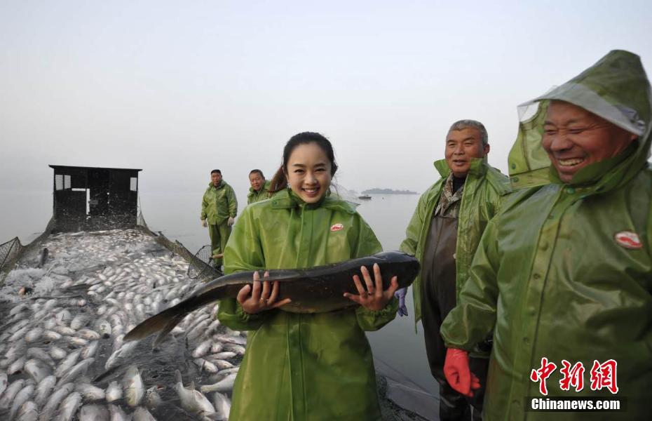 ��Ů��ӭ�붬������