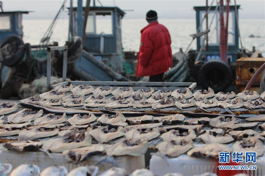 �ൺ���ɹ��������