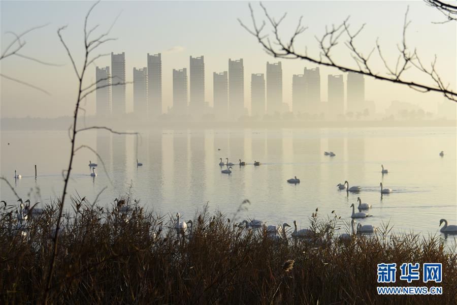 �����ɽ���ٳɹ���