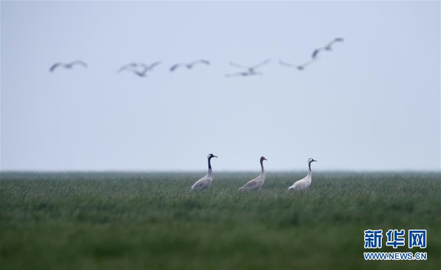 �����輯����ͥ��