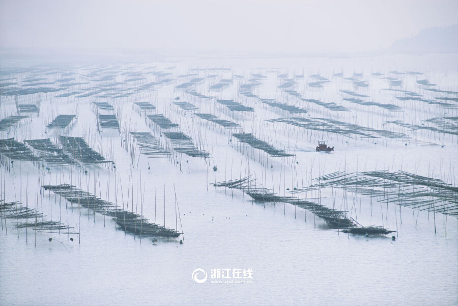 �����ϲ�ϲ�����