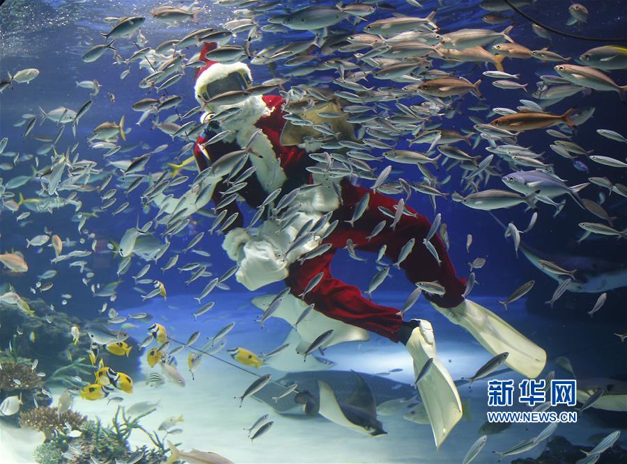 ˮ�¡�ʥ�����ˡ�