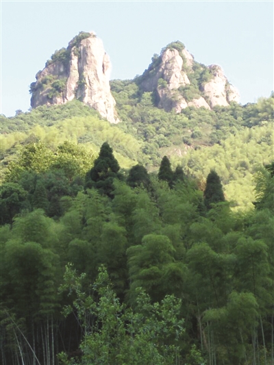 平头村一个书香弥漫的民宿村