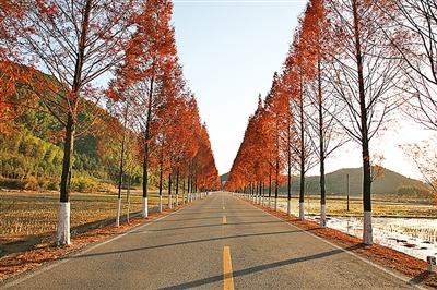 [丽水日报]梦想照进现实 交通事业书写庆元速度