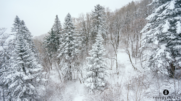 粉雪简谱_天使恋曲 拥抱粉雪钢琴谱 找歌谱网(2)