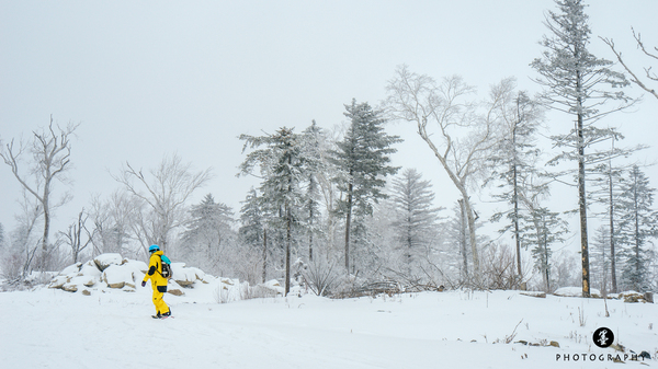 粉雪简谱_天使恋曲 拥抱粉雪钢琴谱 找歌谱网