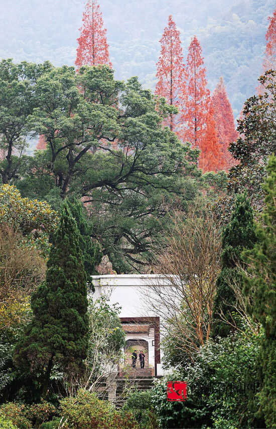 德清:深山藏古寺