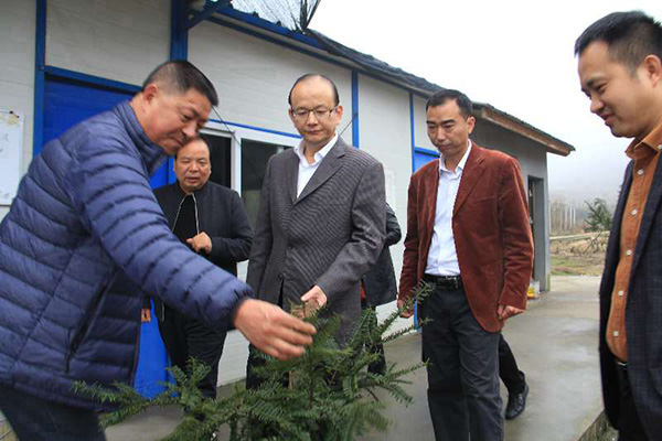 县委书记管文新在石梁镇调研时指出--天台新闻网