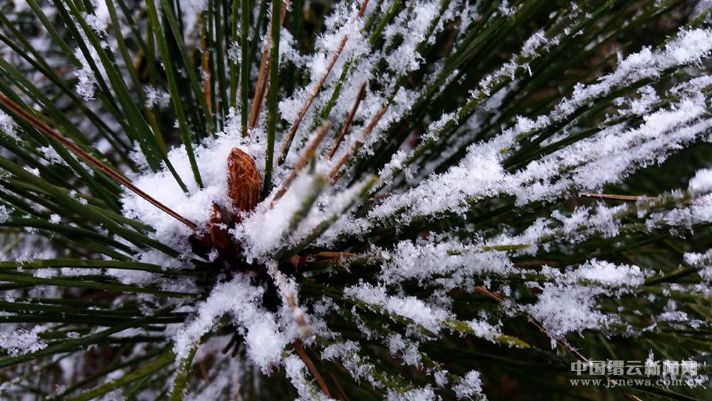 下雪啦