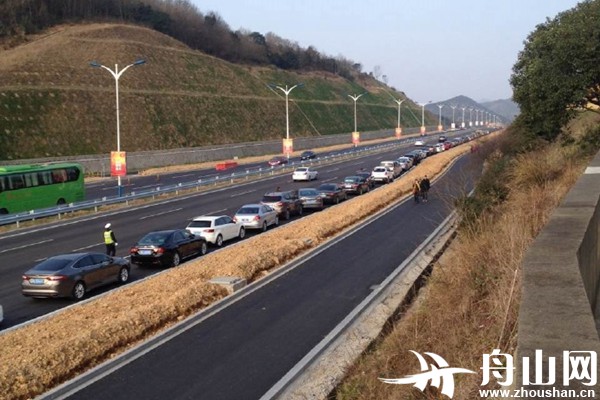 清陵图纸4万人拜坟头岁九成v图纸者带花寄哀墓园枪套图片