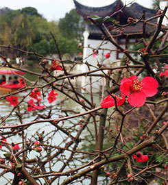 �񻷵����� �ڳ�������Ȼ����