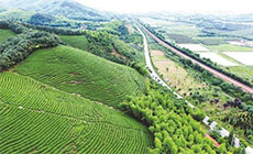 ũ���ںϱ����� �����������