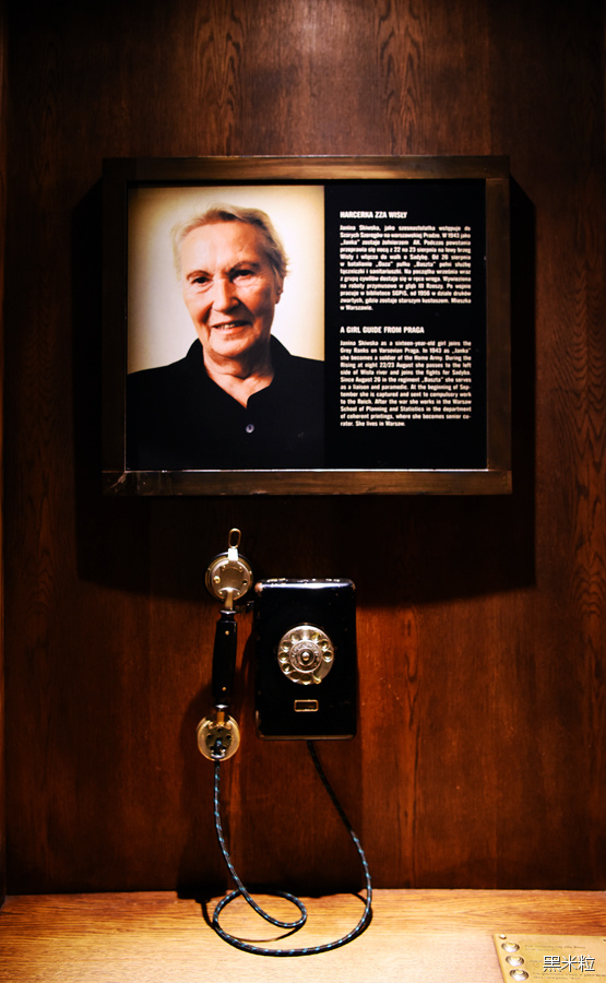 从凤凰涅盘到冰雪奇缘 波兰越冷越好玩