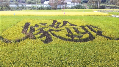 �ô��⡰�㡱��ũ��