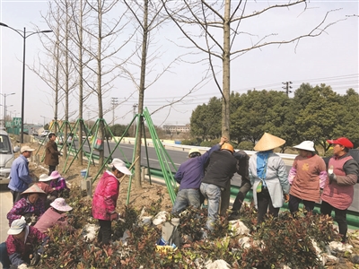 绘就花园城市新貌 打造宜居魅力首都——访北京市园林绿化局局长高大伟