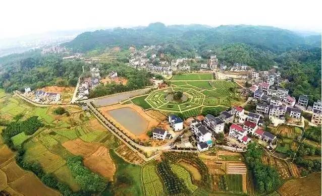 ,何不去旅行衢州这些景区景点全