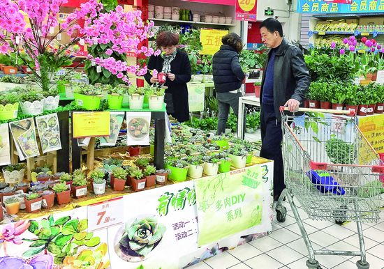 春来花俏