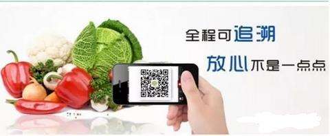 蔬菜也能扫一扫 凭“身份证”溯源定海打造农业