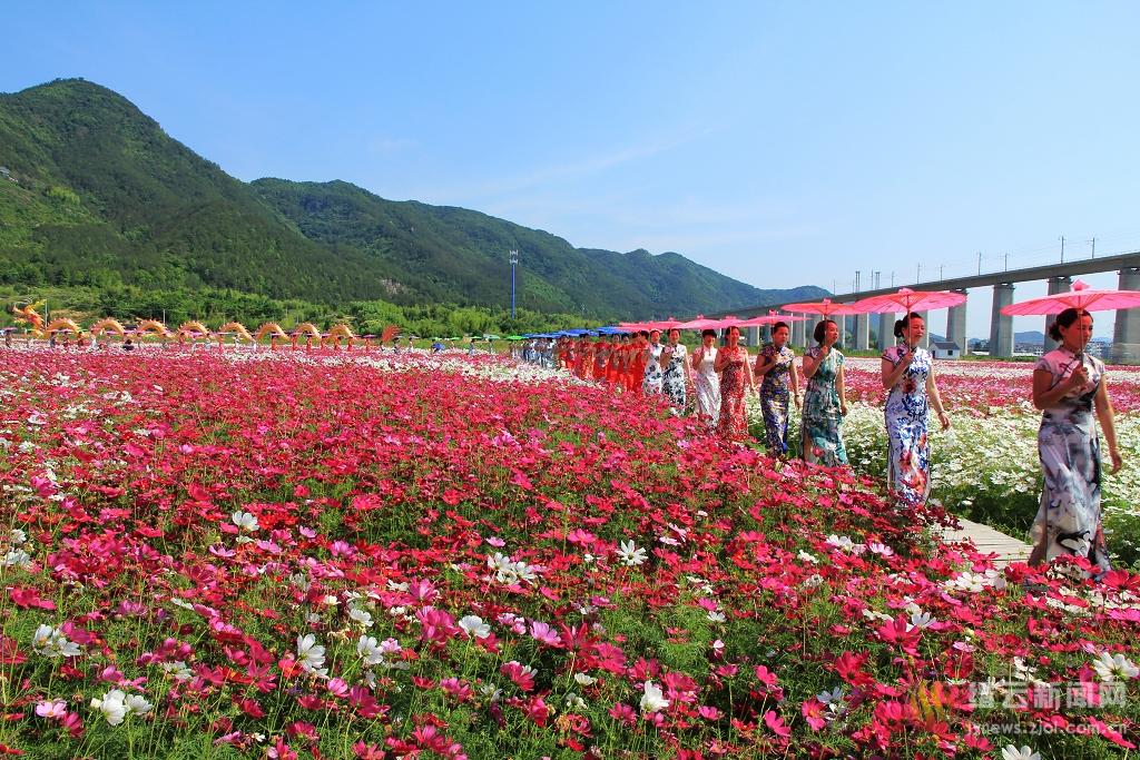 "笕川花海"唱响夏季迎宾曲