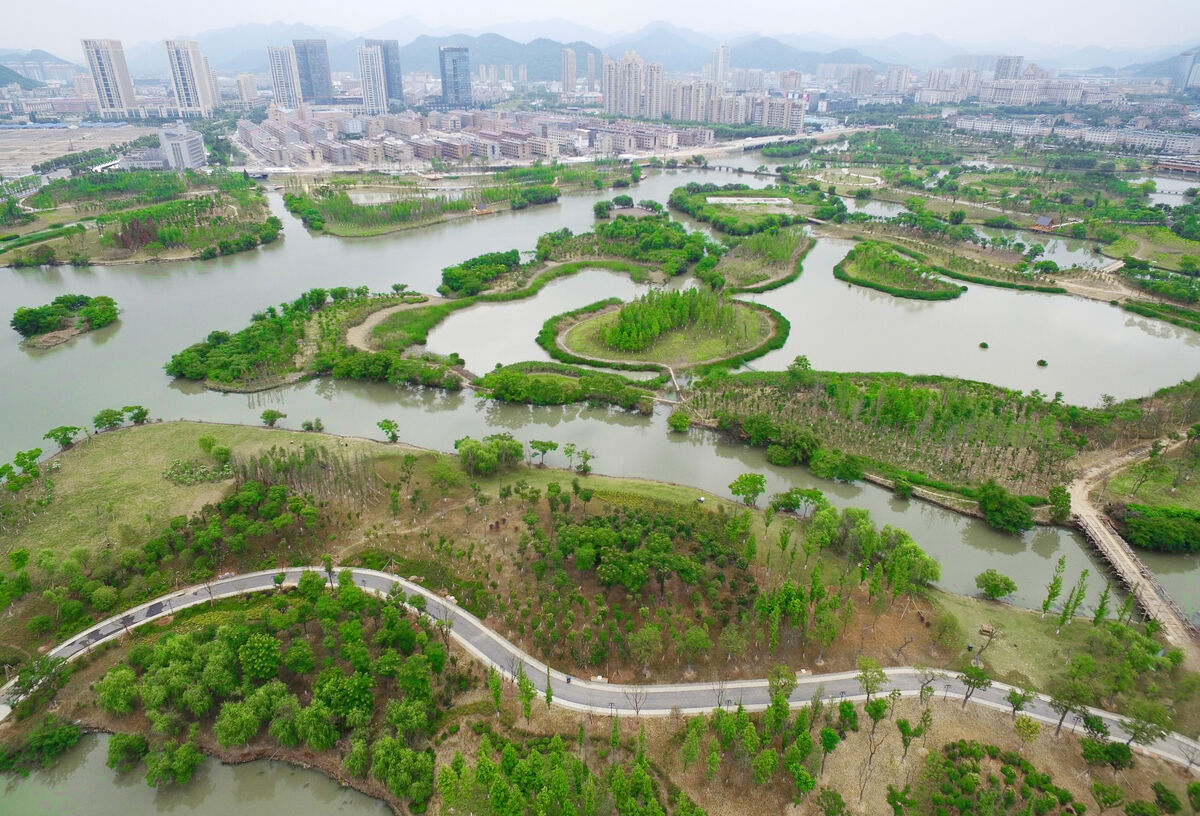 以后去九龙汇湿地公园的樱花跑道刷步数