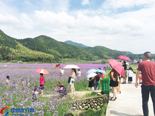 庆元婚纱摄影_婚纱摄影(2)