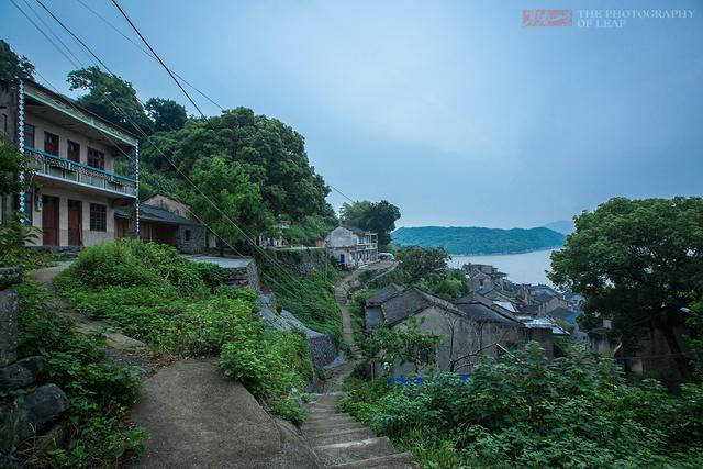 沙塘村人口_灵山县沙塘村(2)