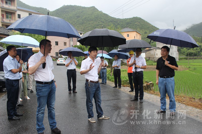 开化县促进农民增收和集体经济发展现场交流会召开