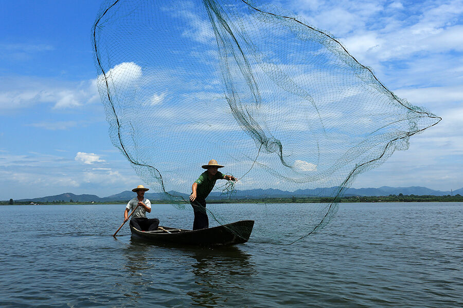 7月4日,在长兴仙山湖国家湿地公园,渔民在用传统的撒网方式捕鱼