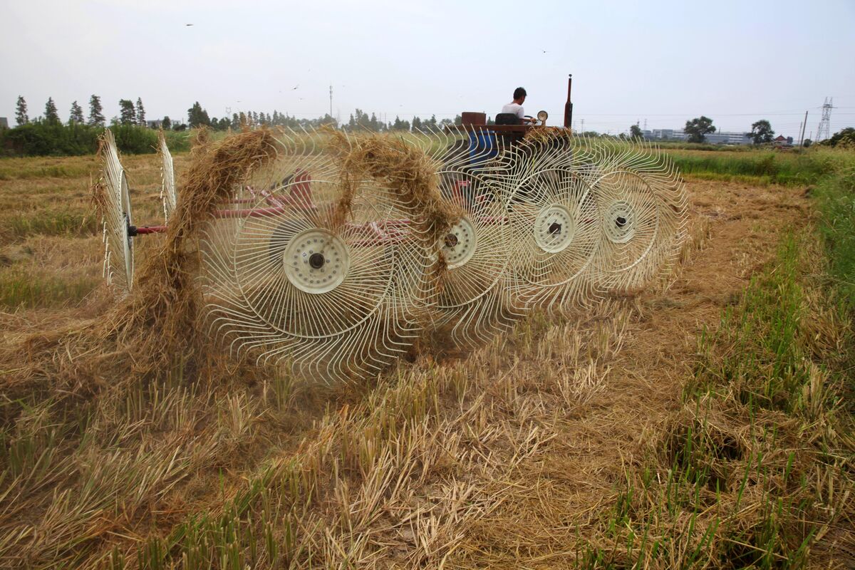 温岭人研制出三款神器 促进秸秆的综合利用-温岭新闻网