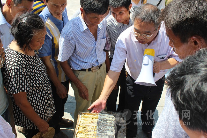 中蜂养殖技术培训班走进开化县中村现场教学 - 食品资讯 - 第一食品网
