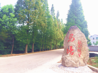 马塘村人口_佳山乡马塘村