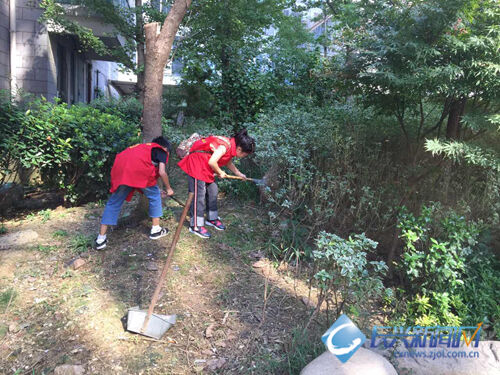 吴欣洋:小小志愿者 发挥大能量(视频)