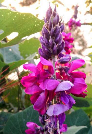 ���޸��ٻ�