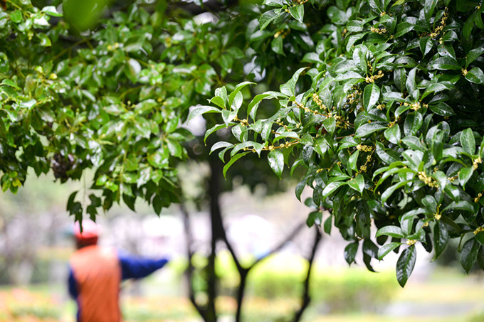 ���ˣ�����Ʈ��