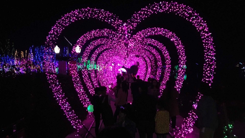 梦幻灯光秀魅力无限(视频)