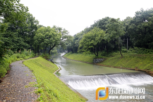 《跟着河长去巡河》第五期:江北街道盘溪河长杜文生