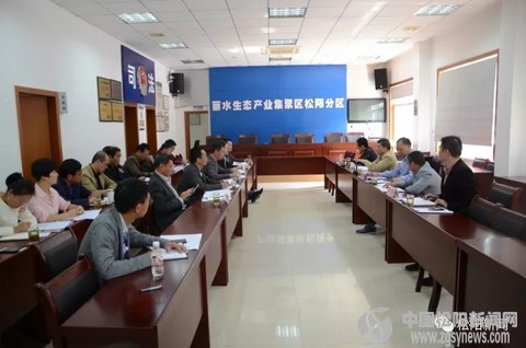 用心用情用力推动工业经济健康发展-松阳新闻