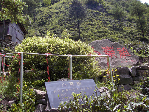 天荒坪镇大溪村