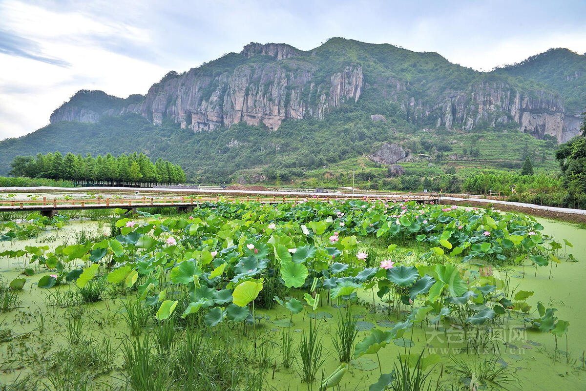 天台新闻网 天台文化 人文综述 漫步塔后村,清新的山风拂面而来,甜甜