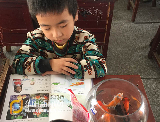 堂鹤课堂:小金鱼游进了科学小学金平区小学报名预图片