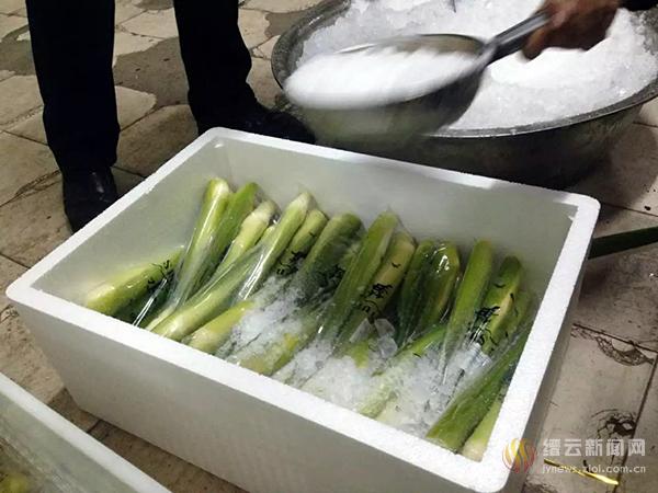 缙云6万斤茭白出口法国-缙云新闻网